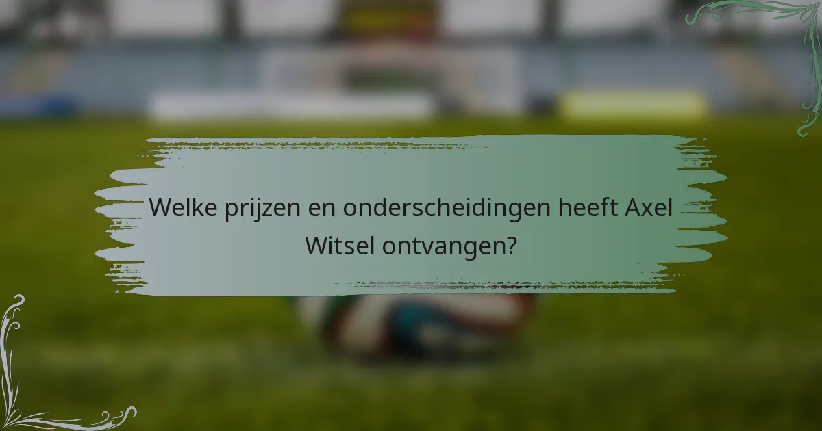 Welke prijzen en onderscheidingen heeft Axel Witsel ontvangen?